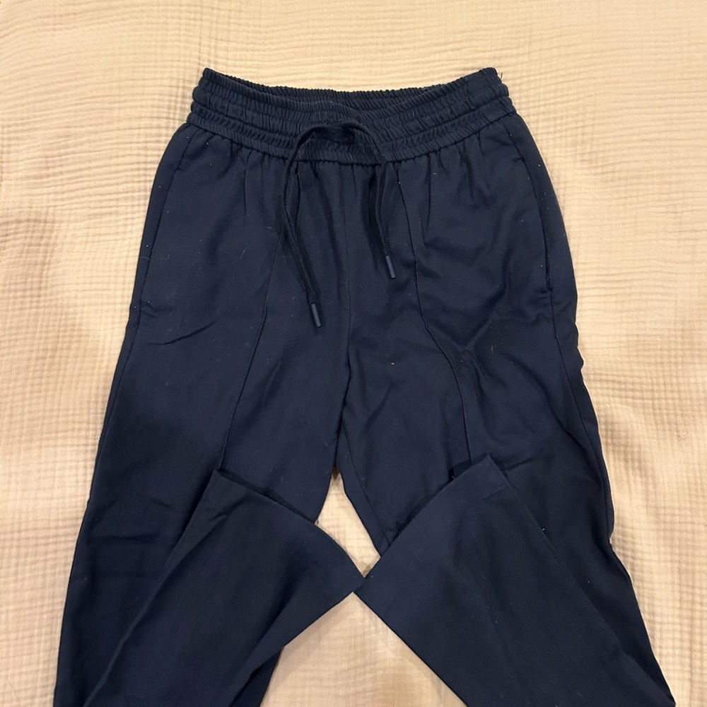 Stylish Navy Jogger Pants